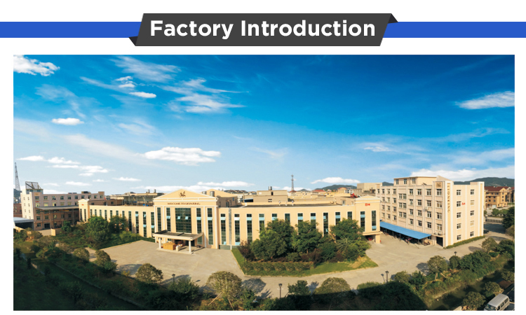 factory introduction